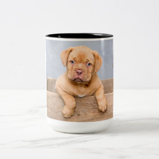 Adorable Dogue de Bordeaux Two-Tone Coffee Mug
