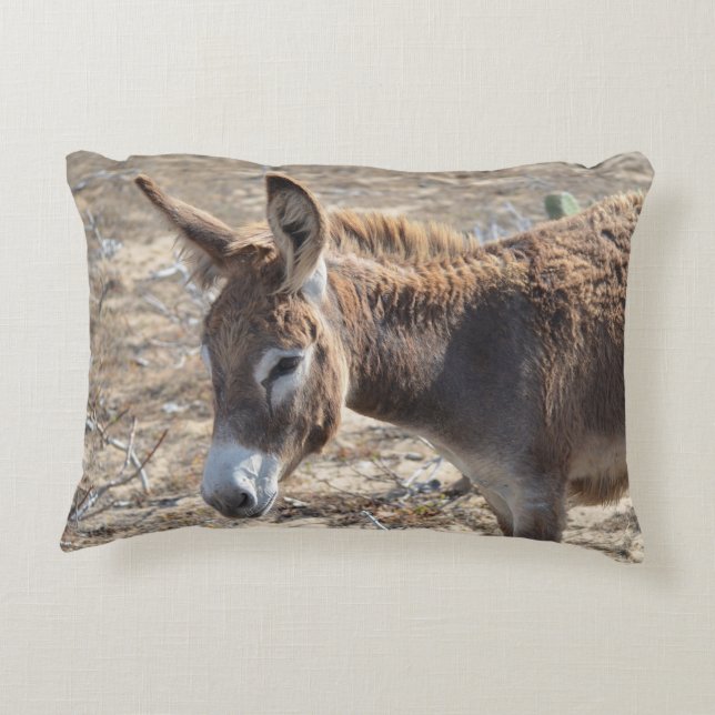 Adorable Donkey Decorative Cushion (Back)