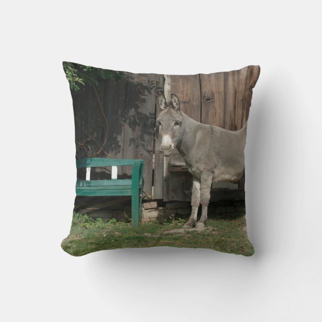 Adorable Donkey Next To Wooden Green Bench Cushion (Front)