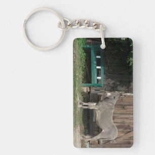 Adorable Donkey Next To Wooden Green Bench Key Ring