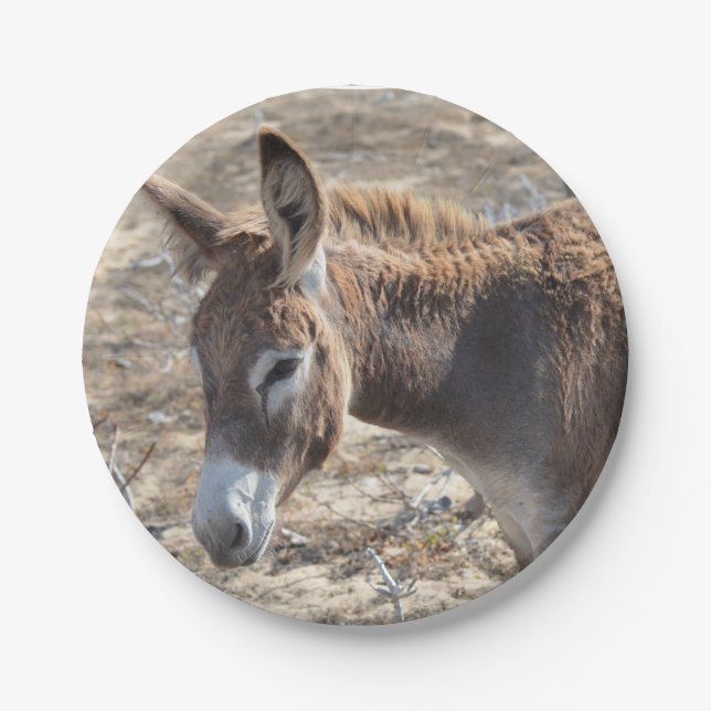 Adorable Donkey Paper Plate (Front)