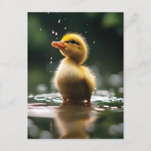 "Adorable Duckling in the Rain  Postcard