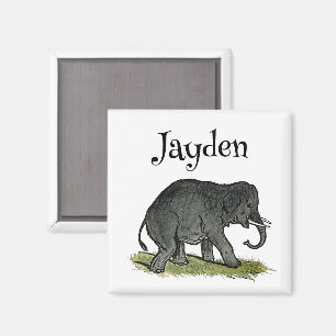 Adorable Elephant Cartoon, Cute Funny Zoo Friend Magnet