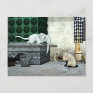 Adorable Elephant Cats Postcard