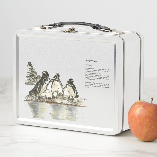 Adorable Endangered Galapagos Penguins Watercolour Metal Lunch Box (In Situ)