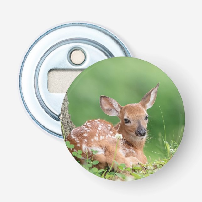 Adorable Fawn laying under a tree Bottle Opener (Front)