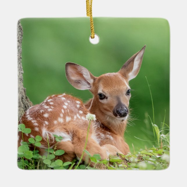 Adorable Fawn laying under a tree Ceramic Ornament (Front)