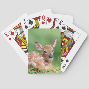 Adorable Fawn laying under a tree Playing Cards