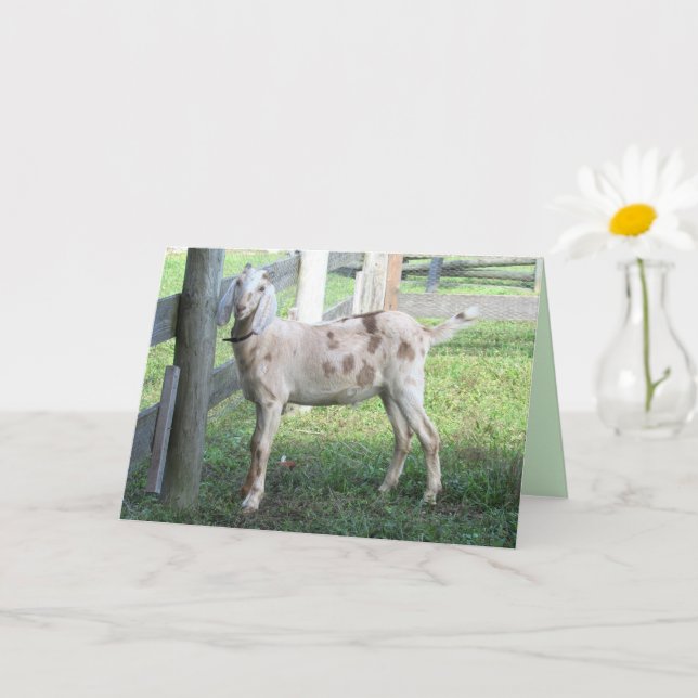 Adorable Floppy Eared Goat Greeting Card (Small Plant)