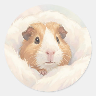 Adorable Fluffy Guinea Pig Portrait Classic Round Sticker