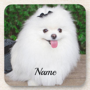 Adorable Fluffy White Puppy Dog Coaster