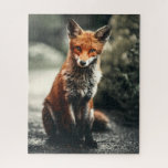 Adorable Fox Wildlife Forest Animal Jigsaw Puzzle<br><div class="desc">Capture the playful charm of the wild with this cute fox puzzle, featuring an endearing fox sitting on its back legs. The fox’s fluffy fur, bright eyes, and curious expression make this image the perfect choice for animal lovers and puzzle enthusiasts alike. With its mischievous yet peaceful demeanour, this puzzle...</div>
