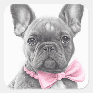 Adorable french bulldog puppy with a pink bow square sticker