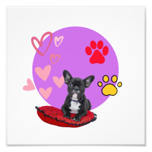 Adorable frienchie puppy with hearts photo print