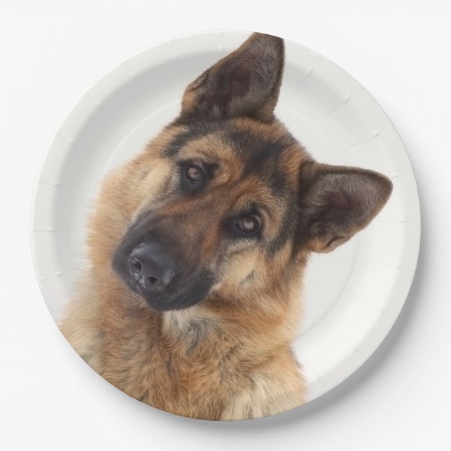 Adorable funny german shepherd portrait paper plate (Front)