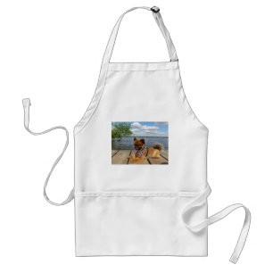 Adorable, furry dwarf spitz dog standard apron
