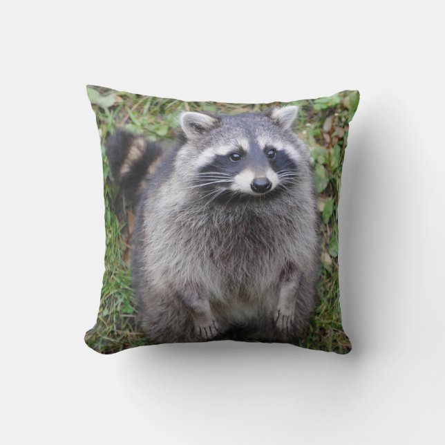 Adorable Furry Racoon Throw Pillow (Front)