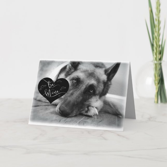 Adorable German Shepherd Valentine's Day Card (Front)