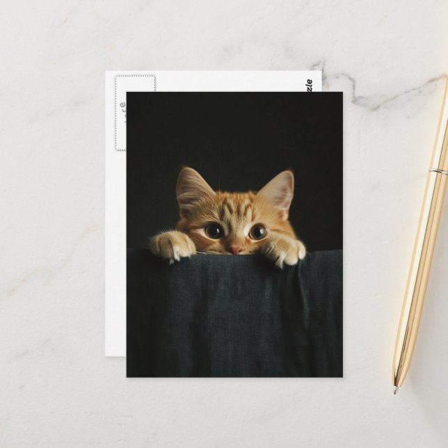 Adorable ginger kitty peeking postcard (Front/Back In Situ)