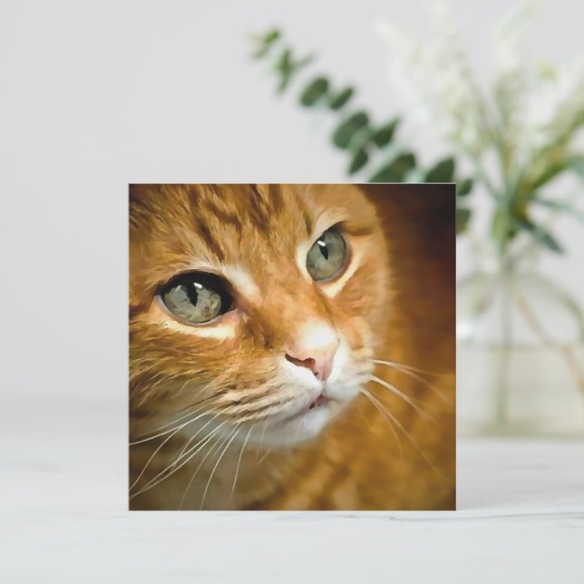 Adorable Ginger Tabby Cat Posing Pet Portrait Holiday Card (Standing Front)