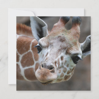 Adorable Giraffe Invitations