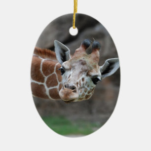 Adorable Giraffe Ornament