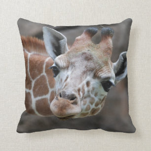 Adorable Giraffe Pillow