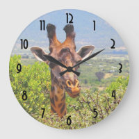 Adorable Giraffe Poking His Head Above The Trees