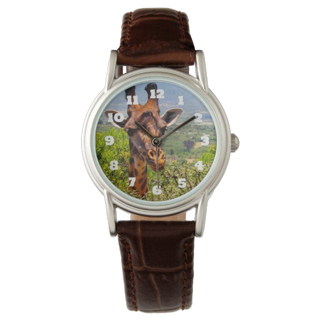 Adorable Giraffe Poking His Head Above The Trees Watch (Front)