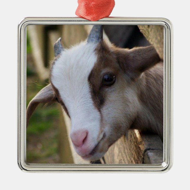 *ADORABLE GOAT FOR CHRISTMAS* METAL TREE DECORATION (Front)