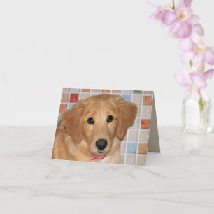 Adorable Golden Retriever Pup Folded Greeting Card