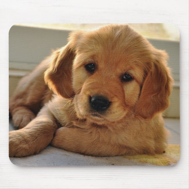 Adorable Golden Retriever puppy dog Mouse Pad (Front)