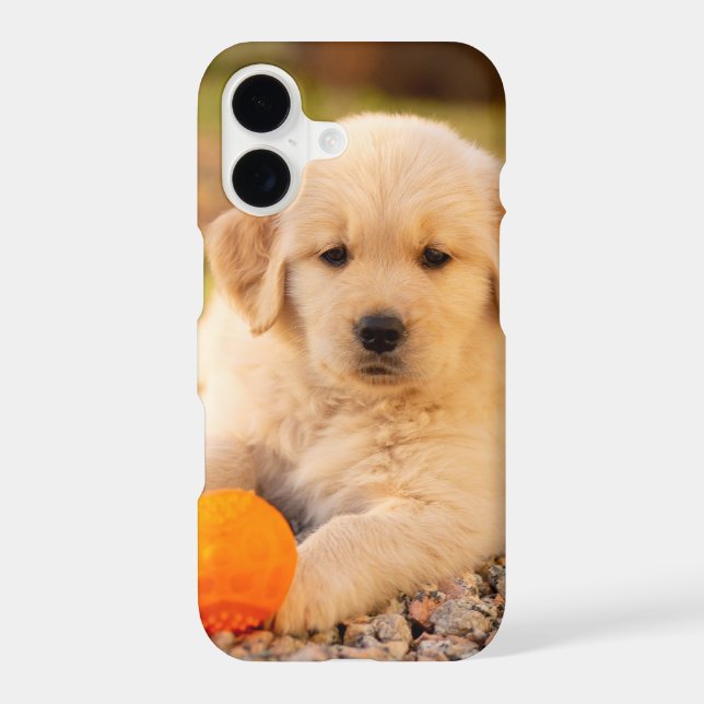 Adorable Golden Retriever Puppy Dog Photo (Back)