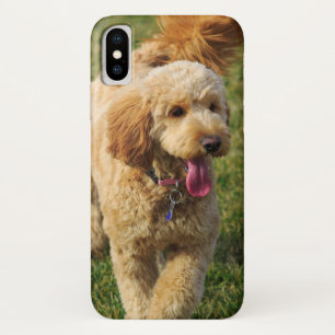 Adorable Goldendoodle Dog Case-Mate iPhone Case