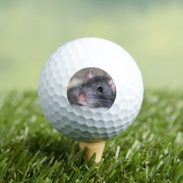 Adorable Golf Balls (Insitu Tee)