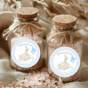 Adorable Goose Boy Baby Shower Blue Gingham Classic Round Sticker
