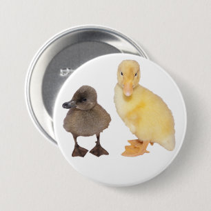 Adorable Grey and Yellow Duckling Photograph 7.5 Cm Round Badge