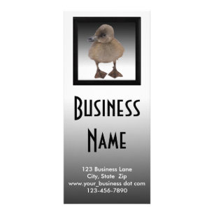 Adorable Grey Duckling Photograph Rack Card