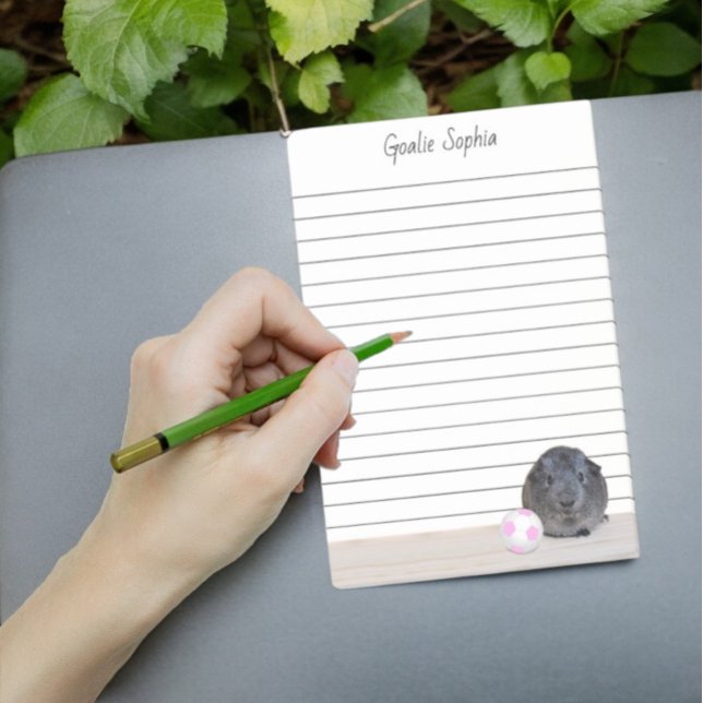 Adorable Grey Guinea Pig Pink Soccer Ball Lined Post-it Notes (Fun 4" x 6" lined note pad)