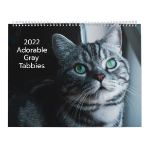 Adorable Grey Tabbies 2022 Calendar