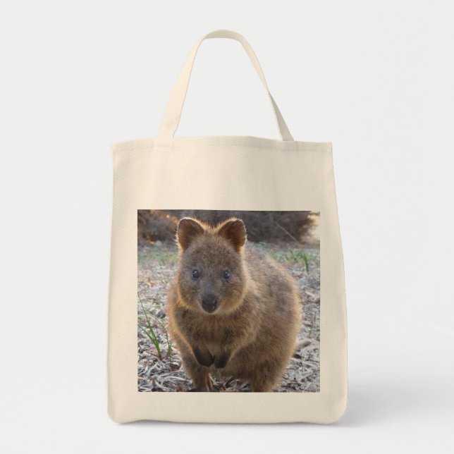 Adorable Grocery Tote Bag (Front)