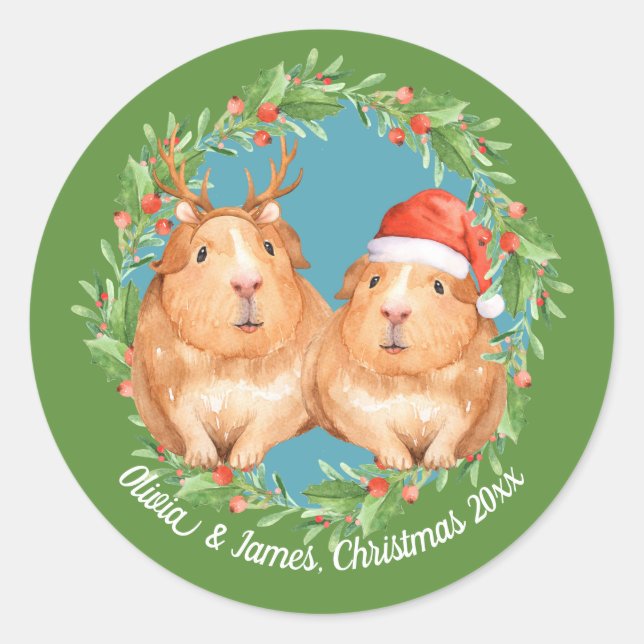 Adorable Guinea Pig Christmas Couple Classic Round Sticker (Front)