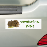 Adorable Guinea Pig Eating Celery Photography