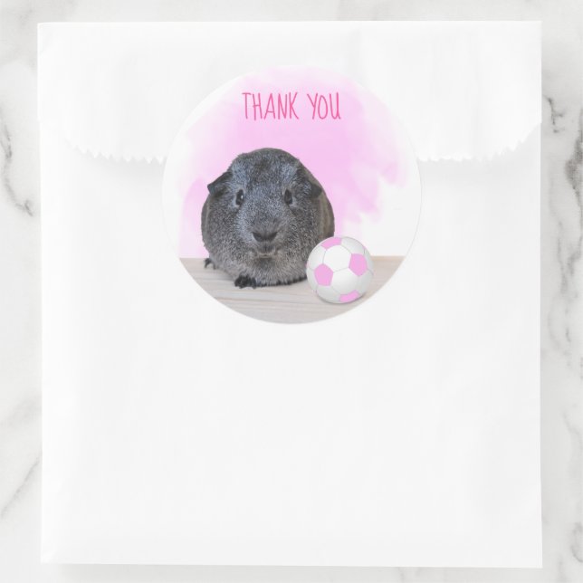 Adorable Guinea Pig Pink Soccer Ball Thank You Classic Round Sticker (Bag)