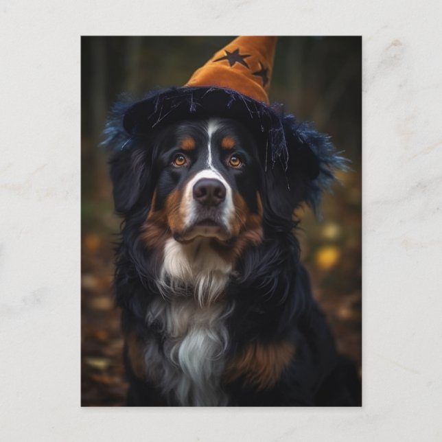 Adorable Halloween Bernese Mountain Dog Postcard (Front)