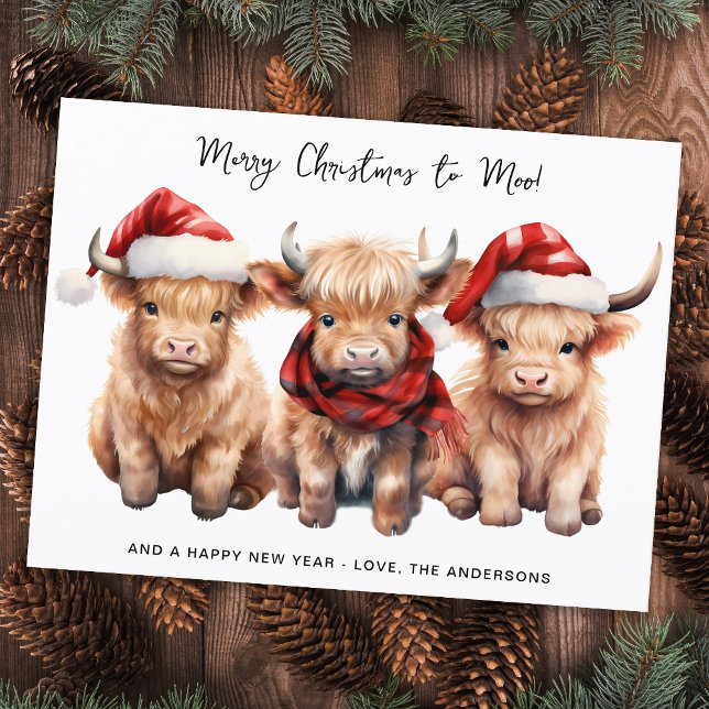 Adorable Highland Cow Calf Merry Christmas to MOO Holiday Postcard (Creator Uploaded)