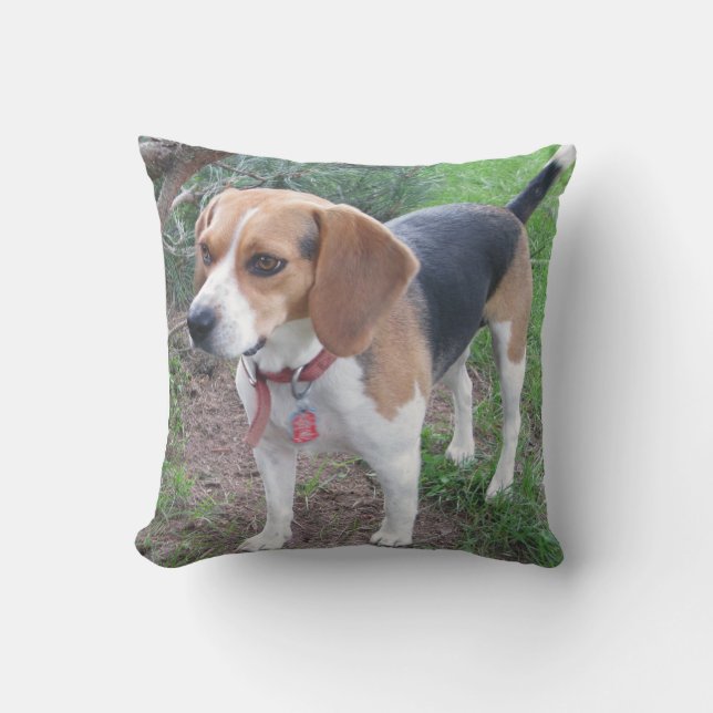 Adorable Houndie Beagle Pillow (Front)