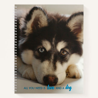 Adorable husky puppy notebook, full size notebook