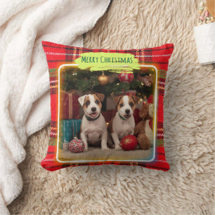 Adorable Jack Russell Terrier puppies with a check Cushion