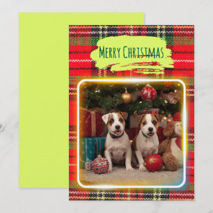 Adorable Jack Russell Terrier puppies with plaid f Holiday Card